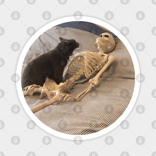 Skeleton Cat Magnet by poppersboutique